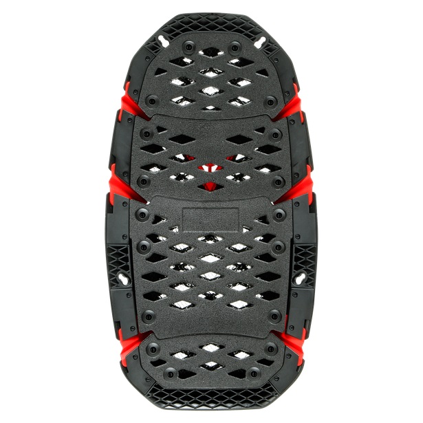Dainese Ryggskydd Pro-Speed G3 185-210cm bild 3